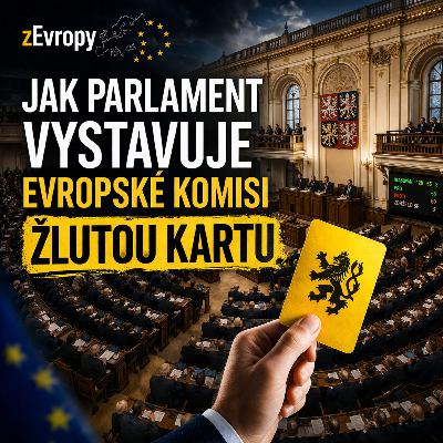 Jak Parlament vystavuje Evropě žluté karty s Janou Francovou Jak Parlament vystavuje Evropě žluté karty s Janou Francovou