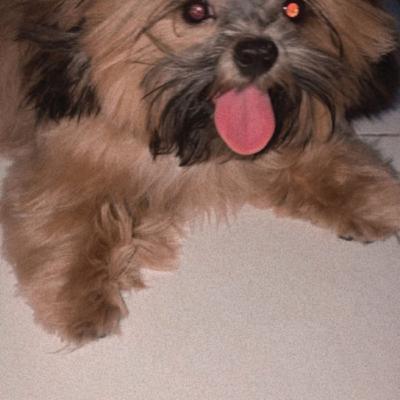 EP 1 - If there's a way, go for it.