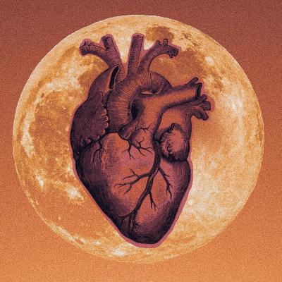 Love Is.......... *Valentines Day Special Episode*