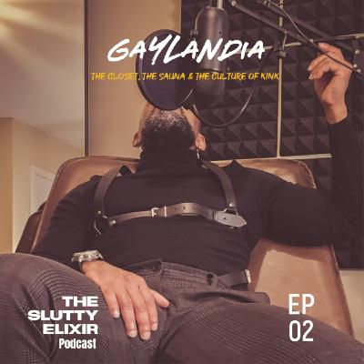 Gaylandia: The Closet, the sauna and the culture of kink Gaylandia: The Closet, the sauna and the culture of kink