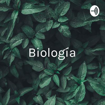 Biología - Las plantas y su medio.