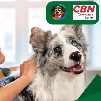 🐾💬 Pet News na CBN | Saúde mental dos pets em destaque!