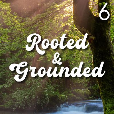 Rooted & Grounded - 6 Rooted & Grounded - 6