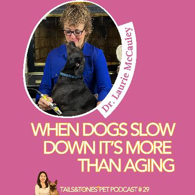 29: Your Dog Isn’t “Just Getting Older.” This Is What’s Actually Happening with Dr. Laurie McCauley 29: Your Dog Isn’t “Just Getting Older.” This Is What’s Actually Happening with Dr. Laurie McCauley