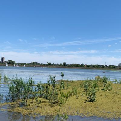 ÉTICA Y TRABAJO DOCENTE