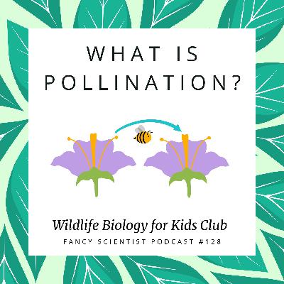 What is Pollination? | Wildlife Biology for Kids Club