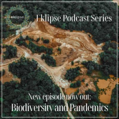 Biodiversity and pandemics