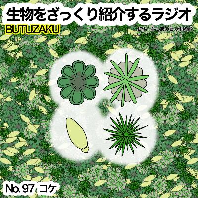 第97話：✉️「コケ」をざっくり紹介