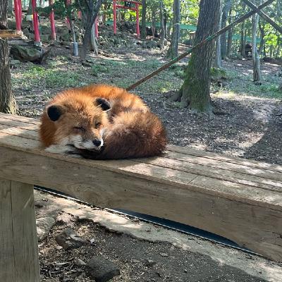 #3【宮城】観光地ぶらら