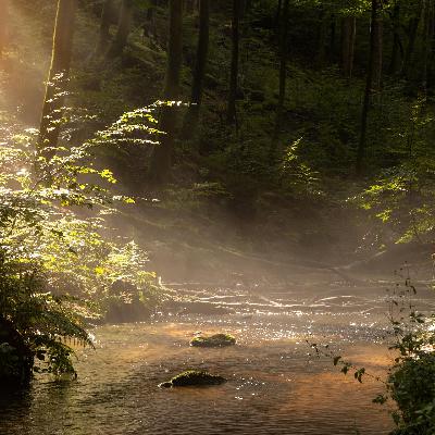 Sacred Spaces