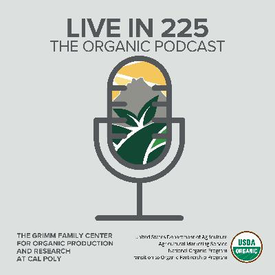 Teosofonia: A compreensão do divino pela audição - Termos Teológicos 104