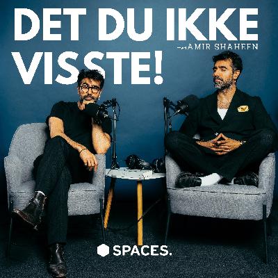 Når nærheten forsvinner: Dimitrij Samoilow om par, mønstre og sårbarhet