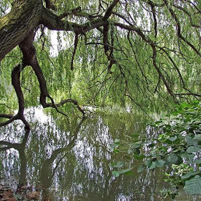 Othello Act 4.3 - A Moving Moment Othello Act 4.3 - A Moving Moment