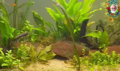 The Trouble with Substrate