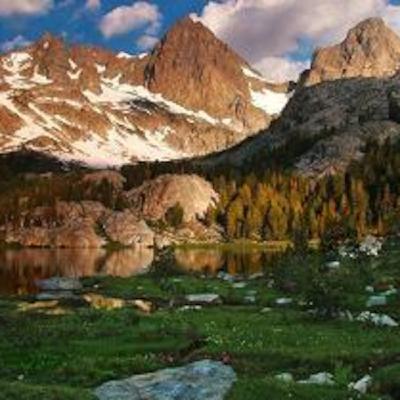 Son of Man Son of Man