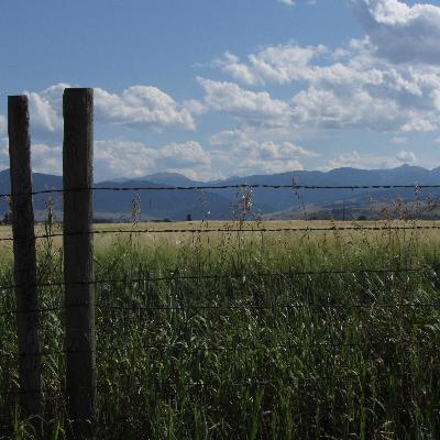 Bill Davis - Sidney, MT