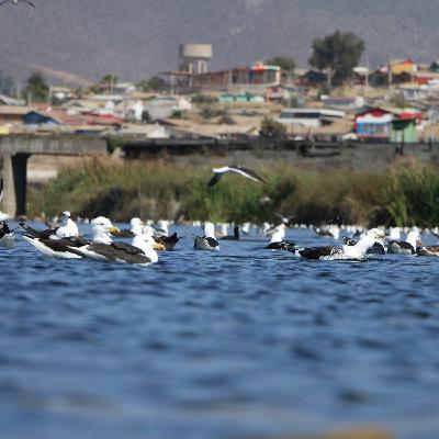 Episodio 1. Educación Ambiental