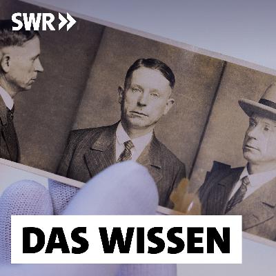 Wer wird zum Serienmörder? – Sextäter, Auftragskiller, Todespfleger