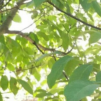 سوال ۵ از کتاب ۱۰ سوال بی‌جواب دکتر سرگلزایی