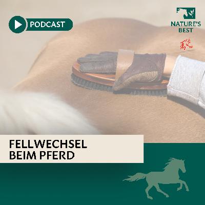 Fellwechsel beim Pferd
