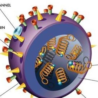 Introduccion a los virus