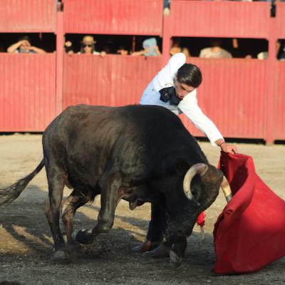 Sebastián Ibelles en plena reingeniería