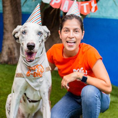 Todo sobre DogDog, nuestr@s fans entrevistan a Lina Palafox.