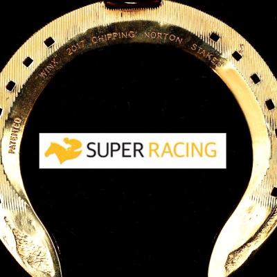 Mapping the Melbourne Cup: the pros and cons of every runner and how to make some decent coin