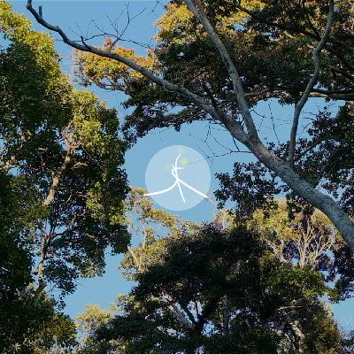 女孩，我们一起变成植物吧！｜保湿森林21