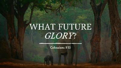 What Future Glory?