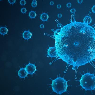 Los virus están vivos