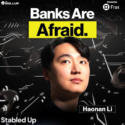 How Codex is Taking Over The $7 Trillion FX Market with Haonan Li