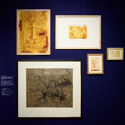 Room 9 - Roots and language