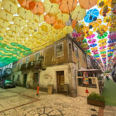 12. La coloratissima Agueda