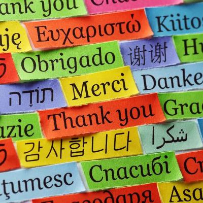 The Power of Gratitude