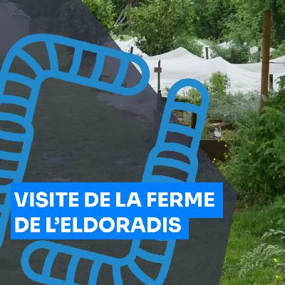 La ferme de l’Elodoradis : 2 000 m² cultivés en Maraichage sur Sol Vivant