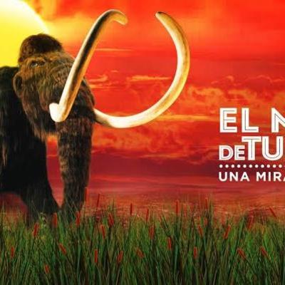 Mamut de Tultepec, una mirada al pasado. Mamut de Tultepec, una mirada al pasado.