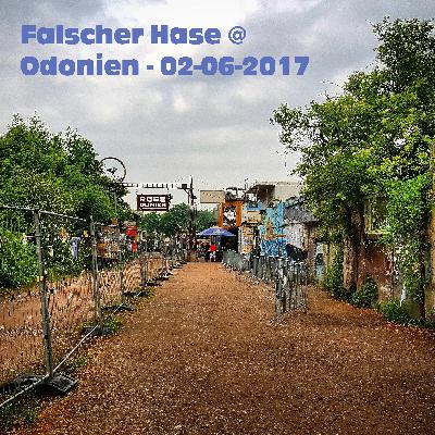 Falscher Hase at Odonien - 02-06-2017
