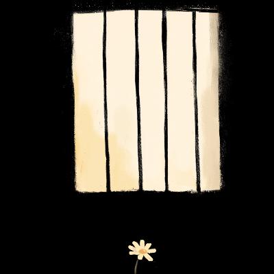 Karbala Narratives: A Light In The Dark