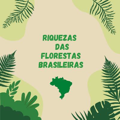 Riqueza das Florestas Brasileiras - Gabiroba