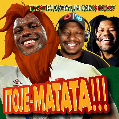 Maro’s Lions, Schmidt’s Wildcards & SA’s URC Fate