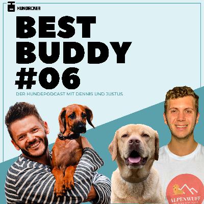 Hunde-Ernährung: Was ist der Zusammenhang zwischen Ernährung und Erziehung? + Was zeichnet gutes Futter aus? + Handfütterung | BBP #06