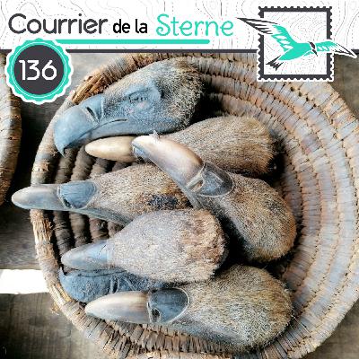 CDLS#136 : Mais qui sont ses serpents qui sifflent sur vos têtes ? (Vautours)