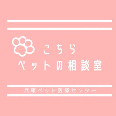 こちらペット相談室#8 わんちゃん・ねこちゃんの下痢症のお話し　有里怜獣医師