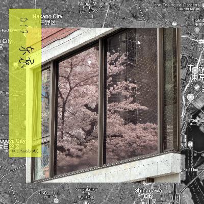 17东京:游走在复杂又迷人的空间里 17东京:游走在复杂又迷人的空间里