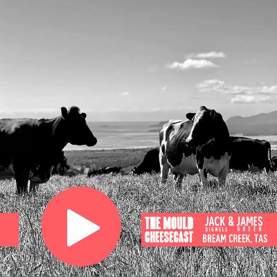 #22: Jack Bignell and James Green, Bream Creek Dairy (Southern Tasmania)