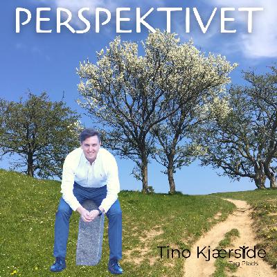 PERSPEKTIVET - Tør du tage plads? Stop med at gemme dig og stå frem
