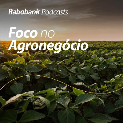 Margens de grãos no Brasil continuam sendo desafio para os produtores