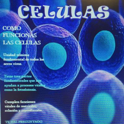Las células