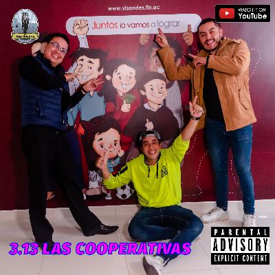 3.13 LAS COOPERATIVAS 3.13 LAS COOPERATIVAS